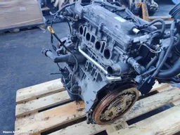 e13f9606-223c-49eb-8540-1f6f5de34db0.jpeg?