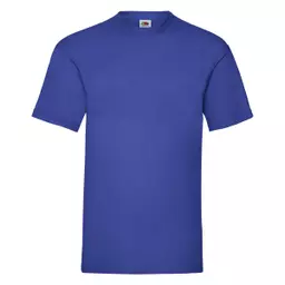 Men's Valueweight T-Shirt