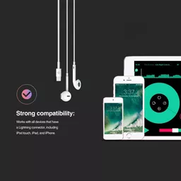 DEV-EARPB-LIGHTMIC-WHT9 (Copy).png