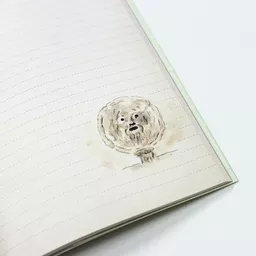 LM-D10-009_5.jpg?date-modified=2025-12-02