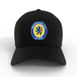 mockup-1763631637896-1-1.png?