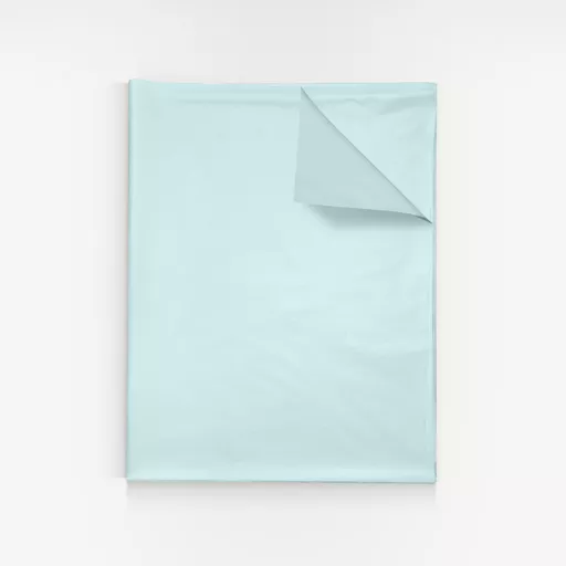 3601296-Duck-egg-MF-tissue-paper.jpg