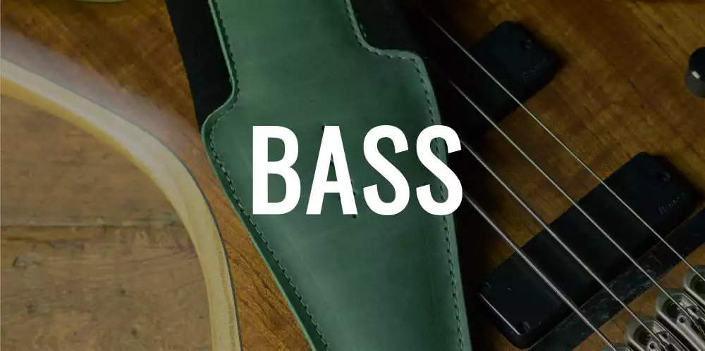 BASS 1 copy.jpg