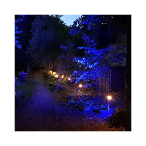 1647011223-79921800.jpg?