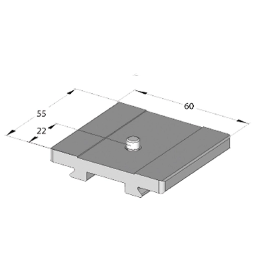 Arca Swiss 55mm 1/4 "plate