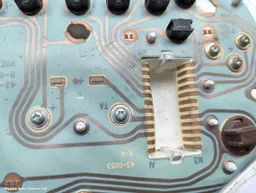 cfe2b469-6e42-46dc-88d1-19302b6009b0.jpeg?