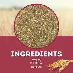Mixed-Corn-ingredients.webp