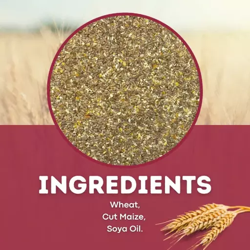Mixed-Corn-ingredients.webp