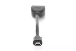 UVYvxptvv02OKKPW7_RelA.c-r.jpg?