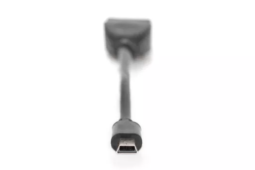 UVYvxptvv02OKKPW7_RelA.c-r.jpg?