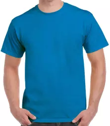 GD02%20SAP%20FRONT.jpg