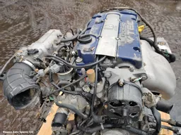 65465c70-2a22-41ad-a6f4-3b7540214782.jpeg?