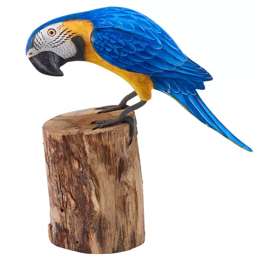 Blue and Yellow Macaw