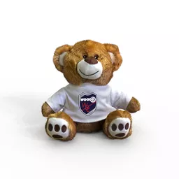 mockup-1763993892598-0-0.png?