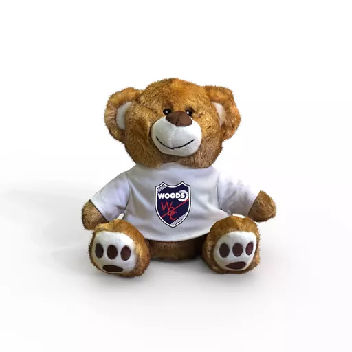 mockup-1763993892598-0-0.png?