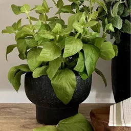 Screenshot 2026-01-28 at 11.57.49.jpg