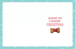 IT379775_2.jpg
