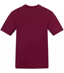 AT002%20BUR%20FRONT.jpg?