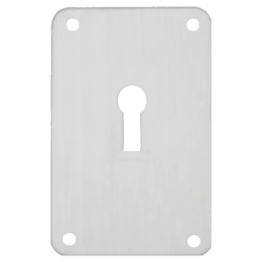 ASEC Screw On 45mm x 70mm UK Mortice Escutcheon