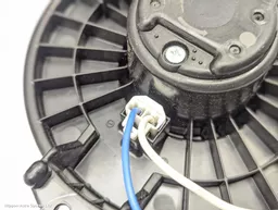 bef2ceaf-acf4-4fe8-8f03-e817f3aff6e6.jpeg?