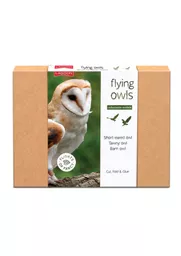 collectable model flying owls set.jpg