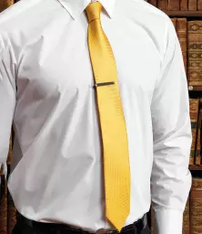 PR780%20SUN%20MODEL%201%20HERO.jpg?