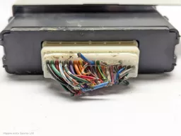 ec6a5903-af13-4e96-b87b-5213744e780c.jpeg?