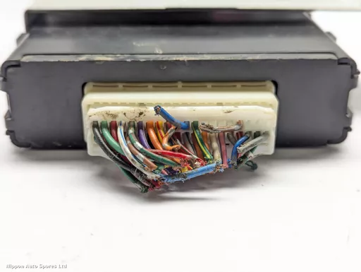 ec6a5903-af13-4e96-b87b-5213744e780c.jpeg?