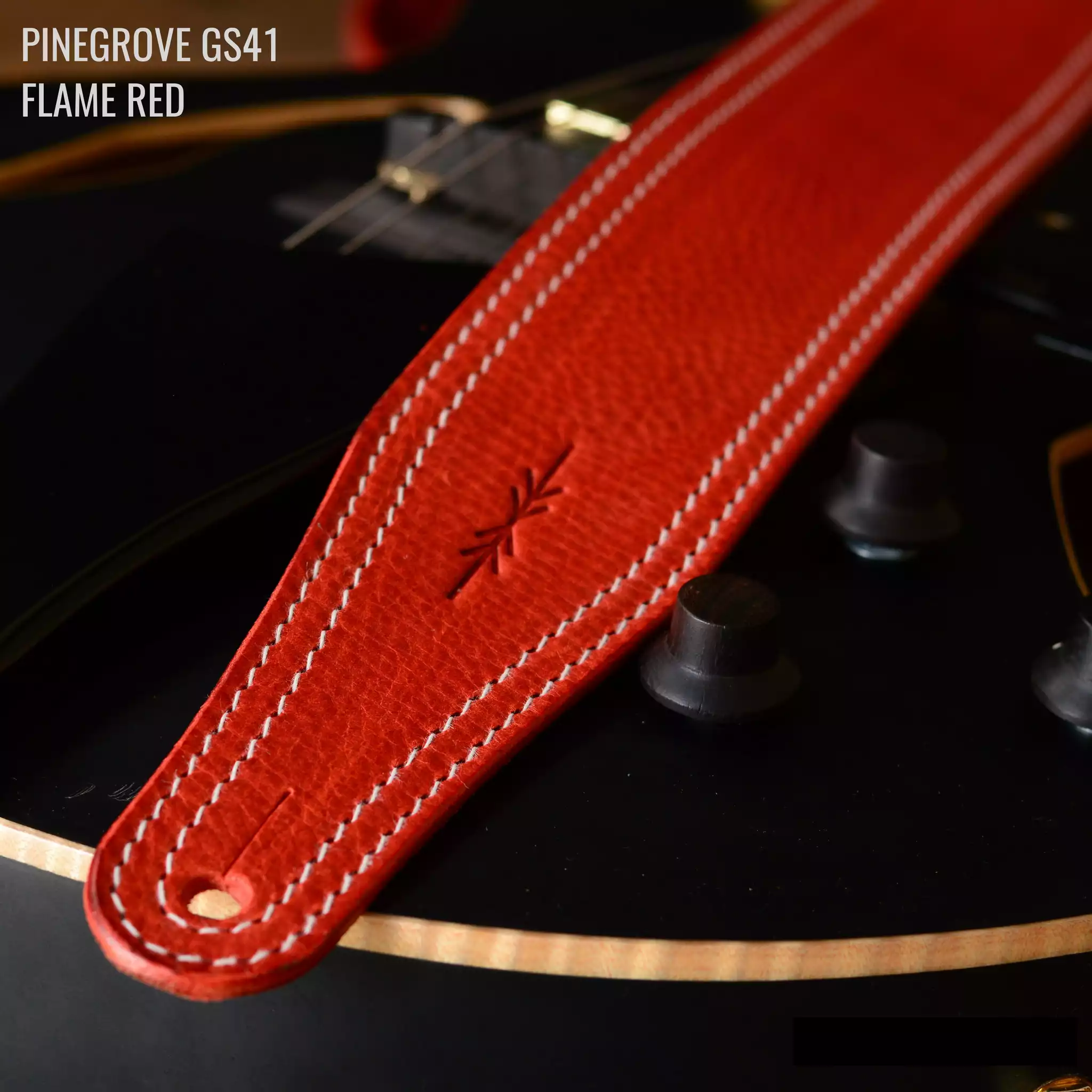 GS41 red DSC_0124.jpg