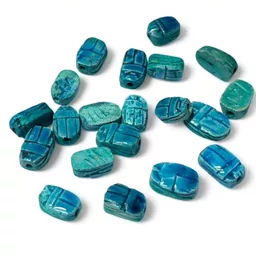 Scarab Beetles 20.jpg