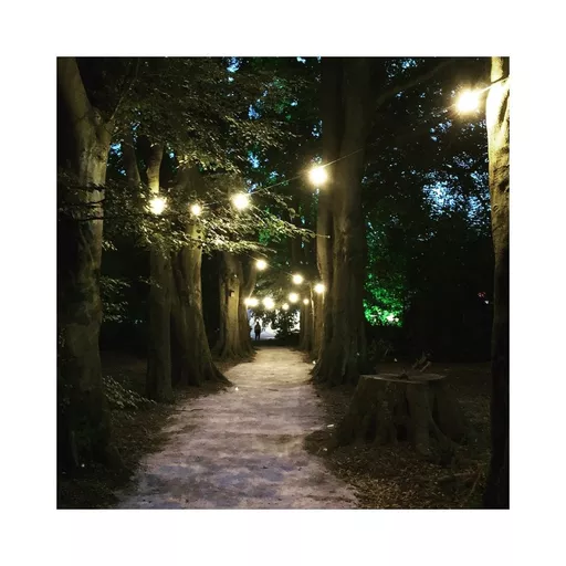 1699280453-78483300.jpg?