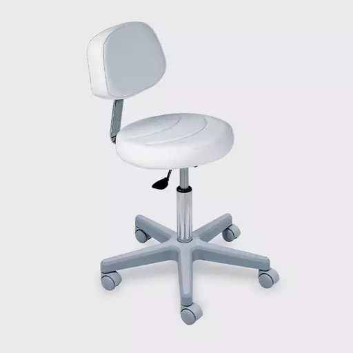 Lemi 030/s Stool With Back Rest