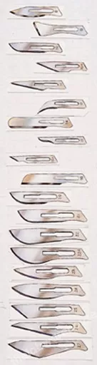 15187768781f1f22422d0d0a38e349b58095905b12.jpg?