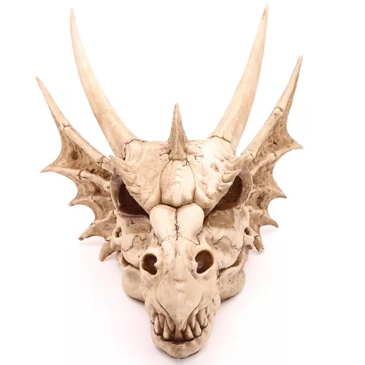 Large Dragon Skull Decoration