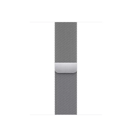 Apple MTJN3ZM/A Smart Wearable Accessories Band Silver Stainless steel