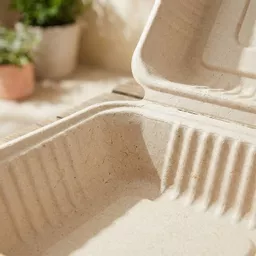 _0000s_0000_9 x 9_ Bagasse Food Container%0A.jpg