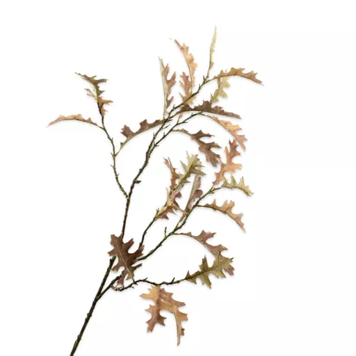 -Large Brown Oak Leaf Stem