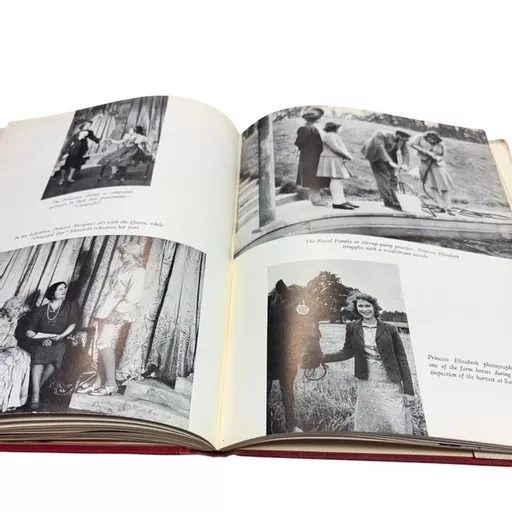 The Little Princesses Book 3.jpg