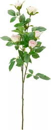 IT393837.jpg