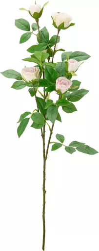 IT393837.jpg