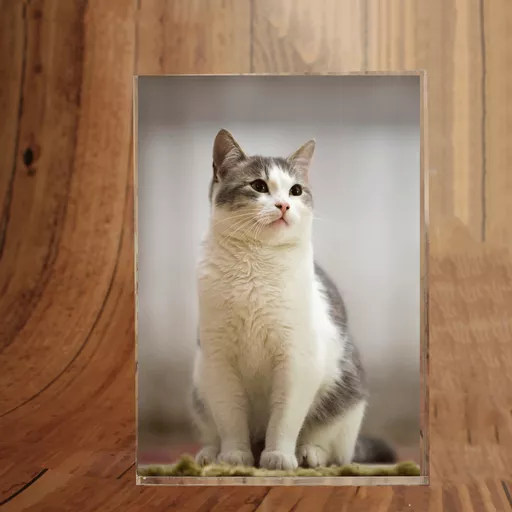 Pets Photoblock Portrait