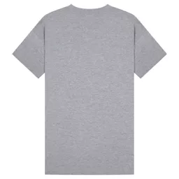 CasualClassics_ClassicRingspun150RegularFitTeeUnisexCR1500_HeatherGrey_Back.png
