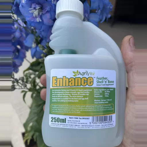 Enhance Feather Shell 'n' Bone