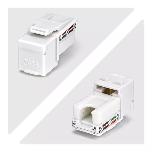 dq45A4CedkaXXbpAys0RQA.c-r.jpg?