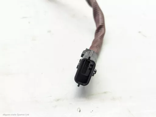 f0123333-da7a-4abb-a13e-80f59de4c0e6.jpeg?