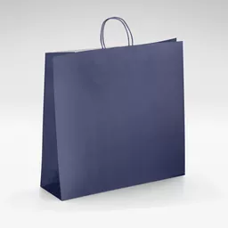 White-kraft-navy-blue-twist-bags-Large.jpg