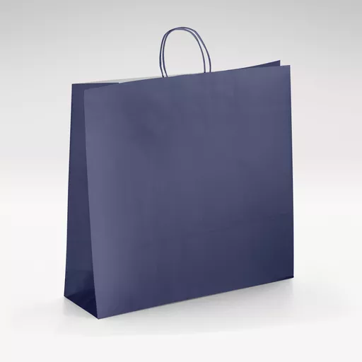 White-kraft-navy-blue-twist-bags-Large.jpg