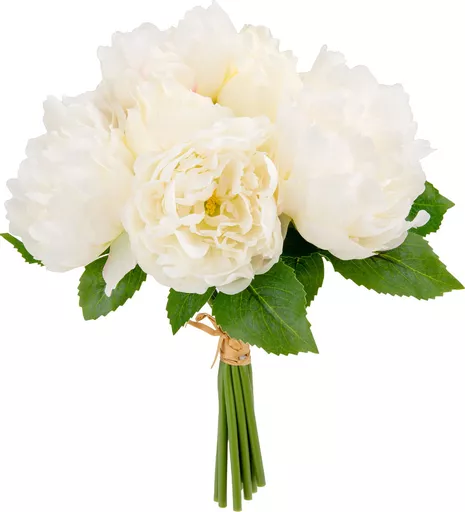 IT393843.jpg