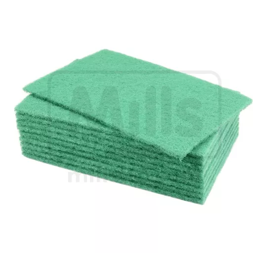 Scouring Pad 23cm x 15cm Pk 10