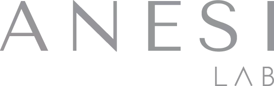 anesi logo.png